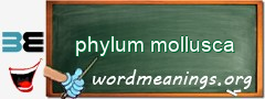 WordMeaning blackboard for phylum mollusca